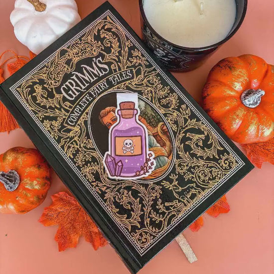 Wicked Potion Magnetic Bookmark | Double-Sided Laminated | Gift for Book Lover